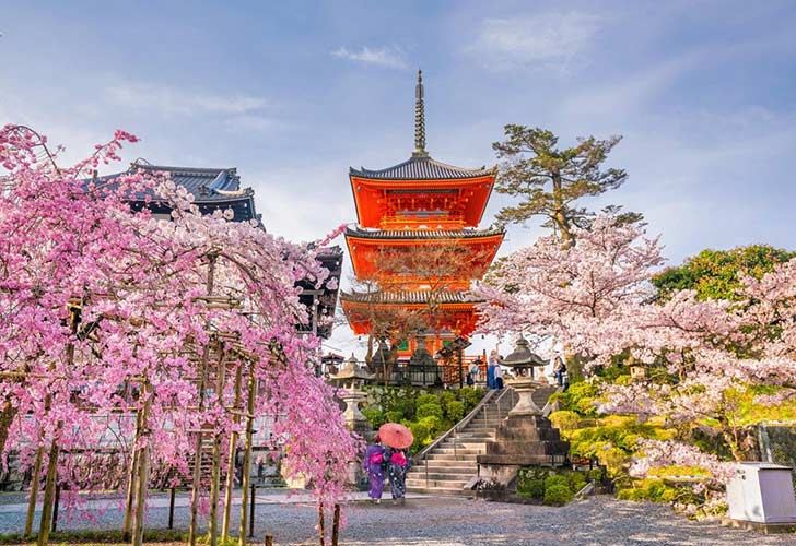 Nhật Bản sẽ đón mùa hoa anh đào sớm hơn năm trước